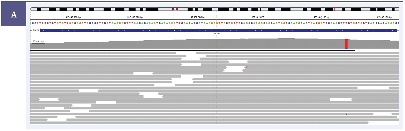 NGS software data showing detection of a SF3B1 exon 15 hotspot variant Lys700Glu with a 4.8% allele frequency.